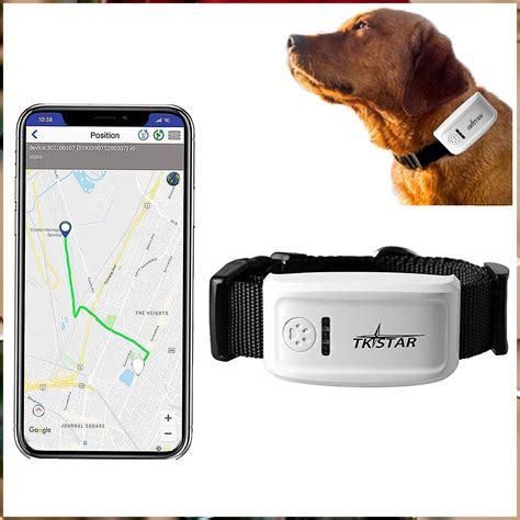 dog tracking devices reviews